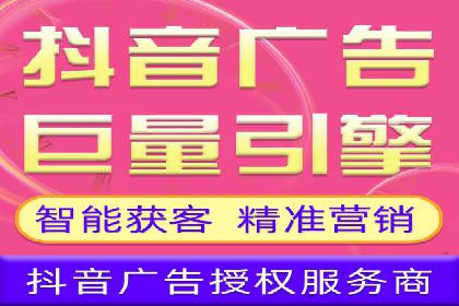 百度广告投放策略与效果评估案例